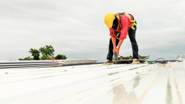 Best Roof Coating and Sealing  in Northfield, IL